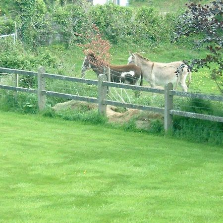 Cillcoman Lodge B&B Westport Luaran gambar