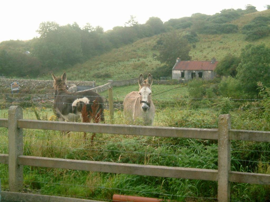 Cillcoman Lodge B&B Westport Luaran gambar