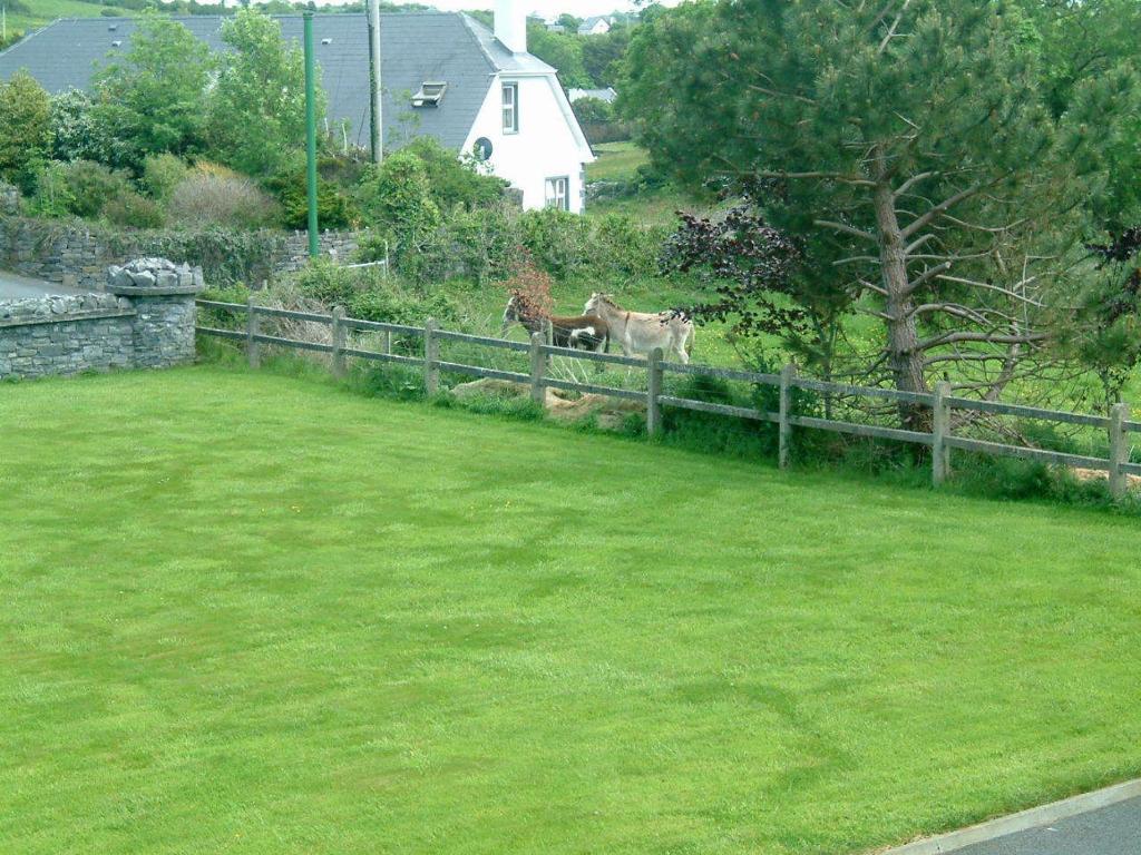 Cillcoman Lodge B&B Westport Luaran gambar